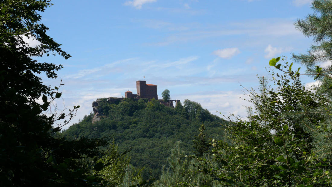 Bild des Monats